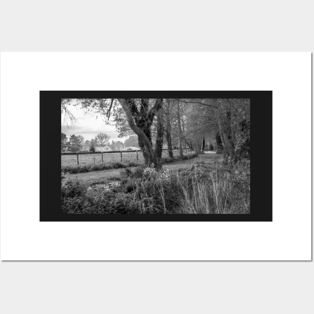 Woodland path in the English countryside Wall Art by yackers1